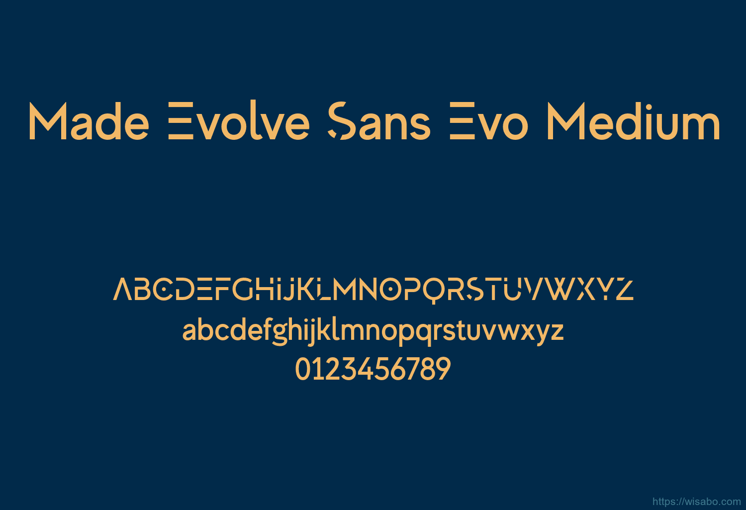 Made Evolve Sans Evo Medium