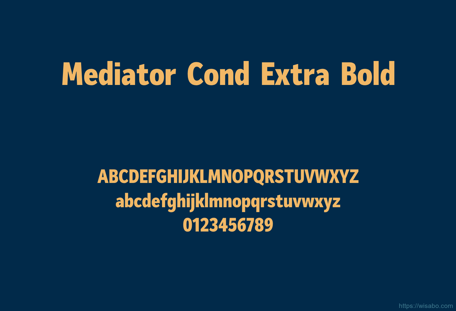 Mediator Cond Extra Bold