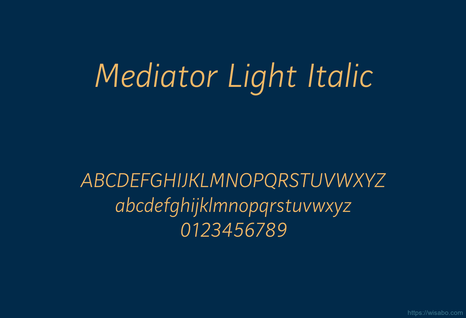 Mediator Light Italic