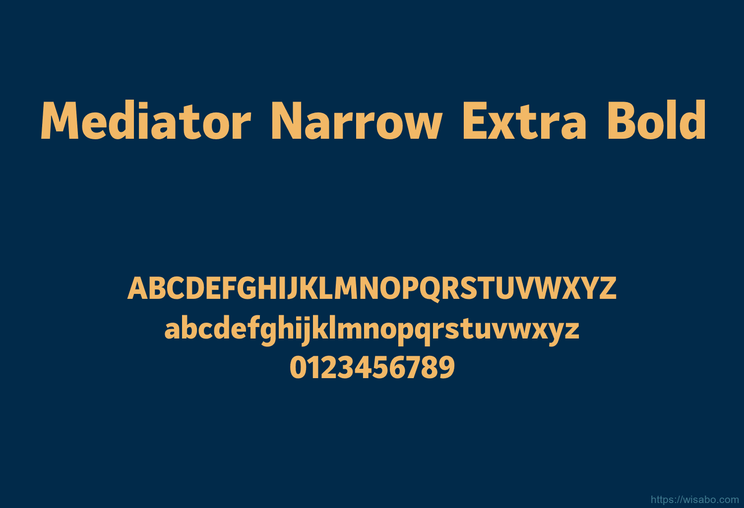 Mediator Narrow Extra Bold