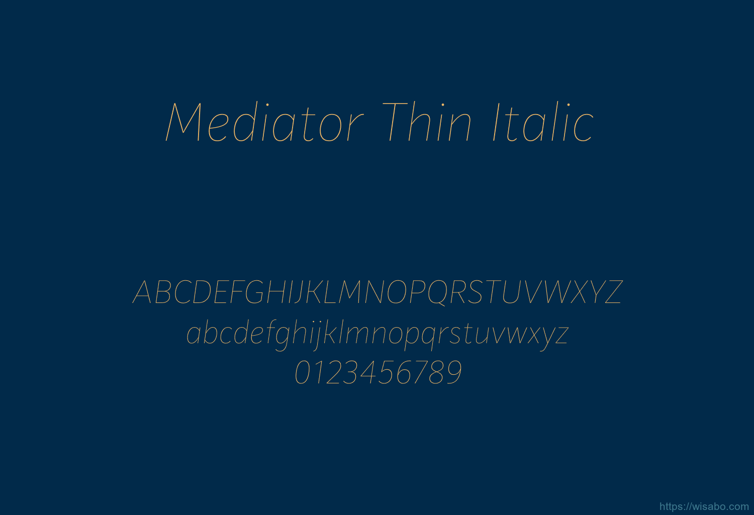 Mediator Thin Italic