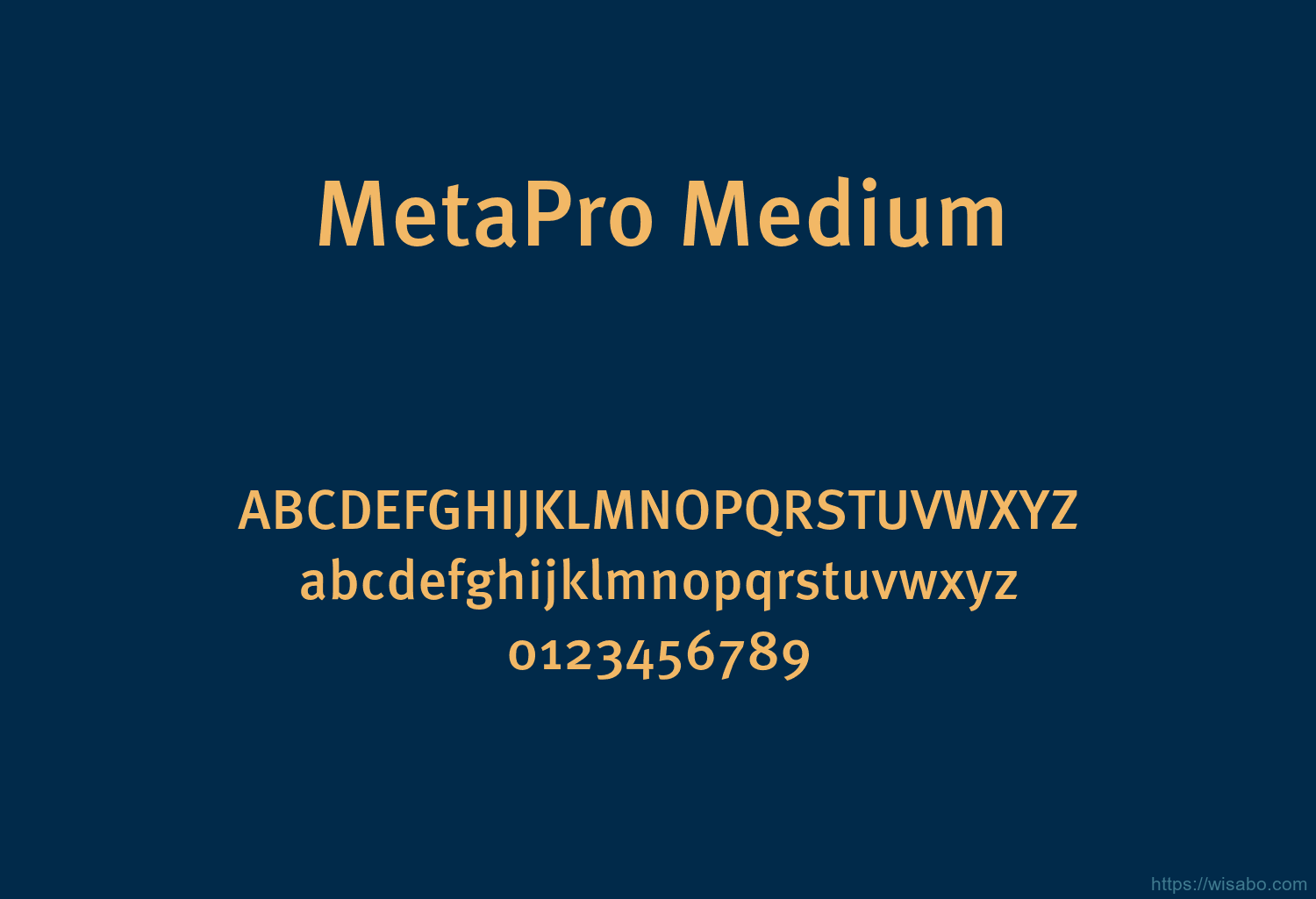 MetaPro Medium