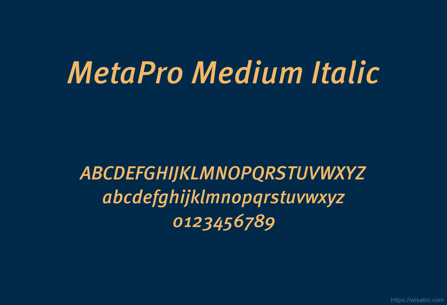 MetaPro Medium Italic