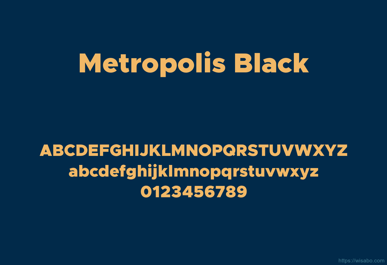 Metropolis Black