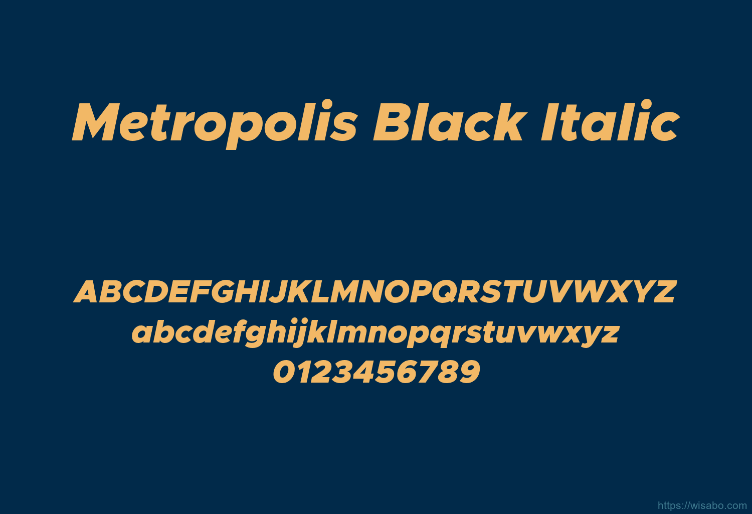 Metropolis Black Italic
