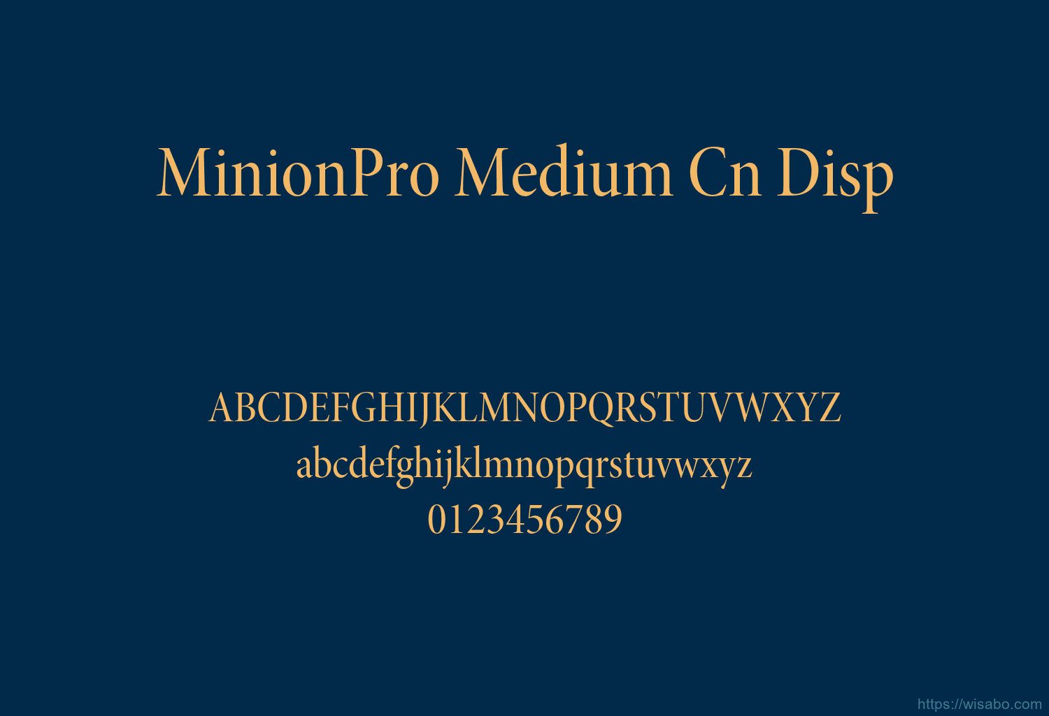 MinionPro Medium Cn Disp