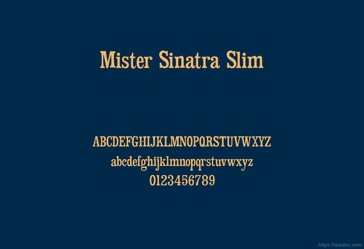 Mister Sinatra Slim