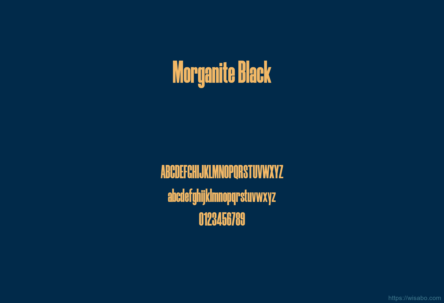 Morganite Black