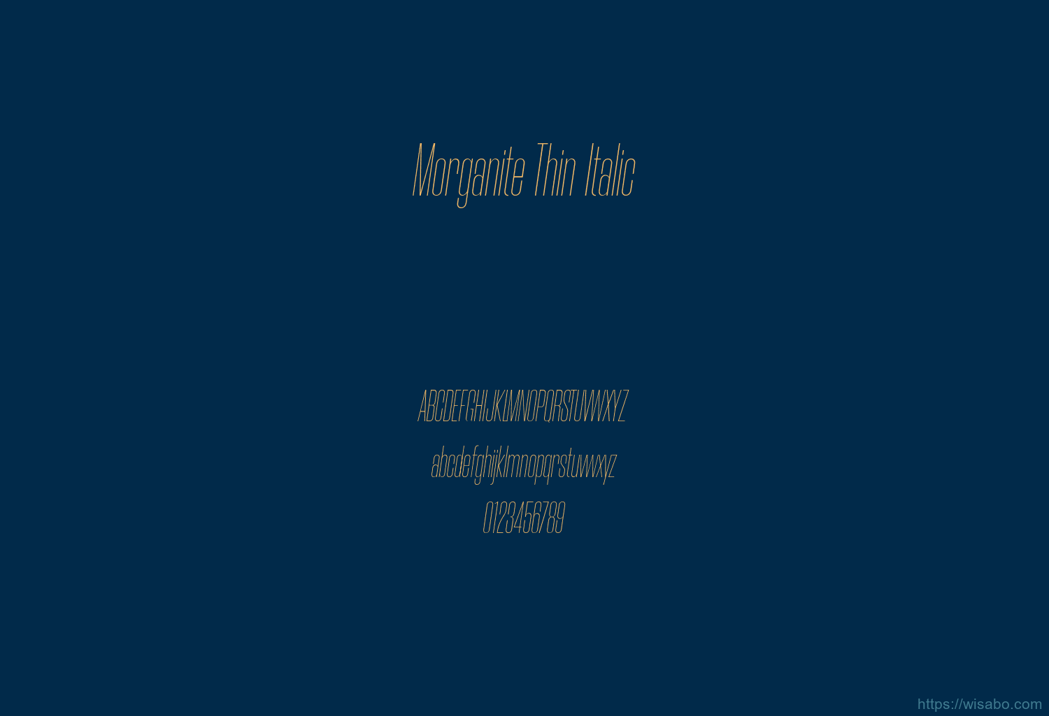 Morganite Thin Italic