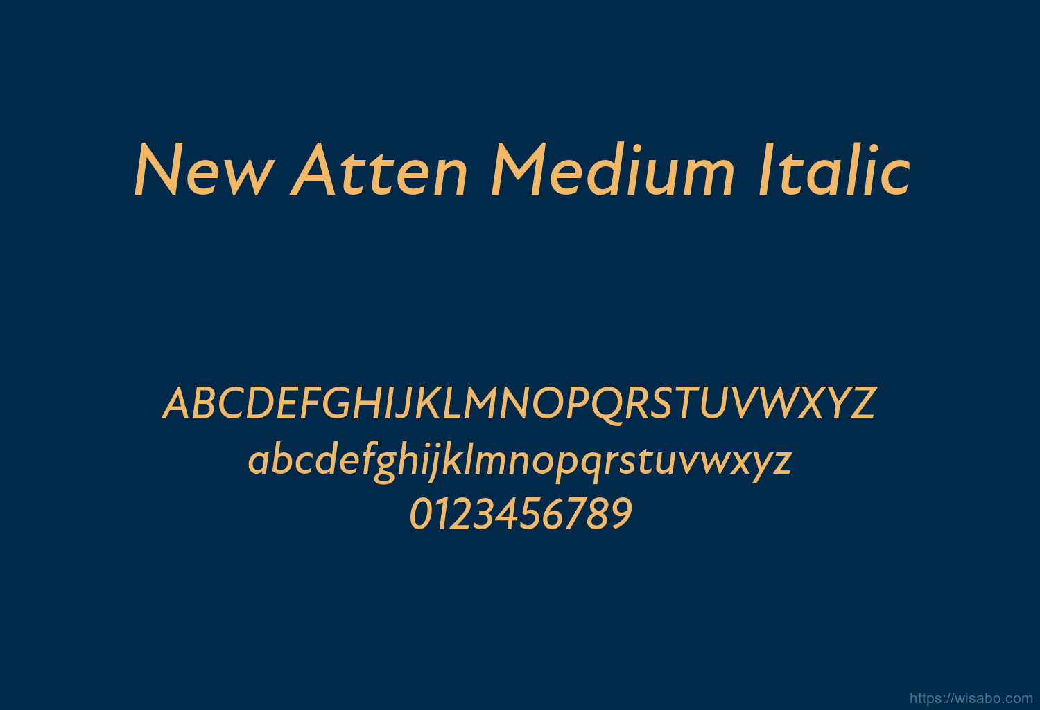 New Atten Medium Italic