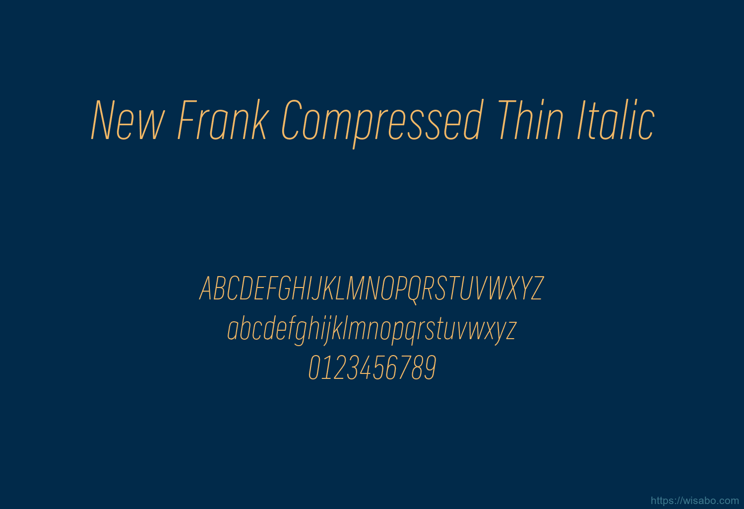 New Frank Compressed Thin Italic