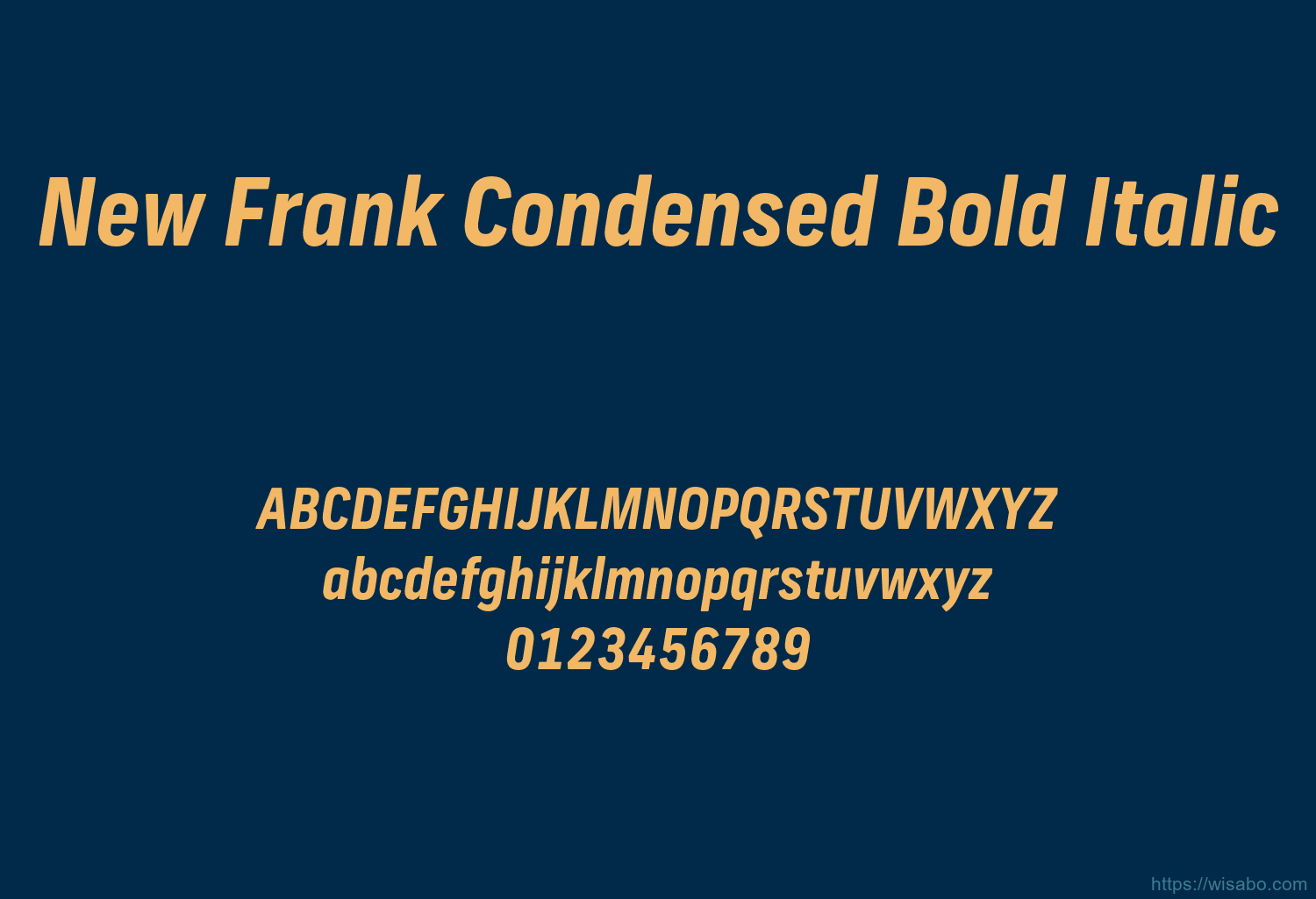 New Frank Condensed Bold Italic