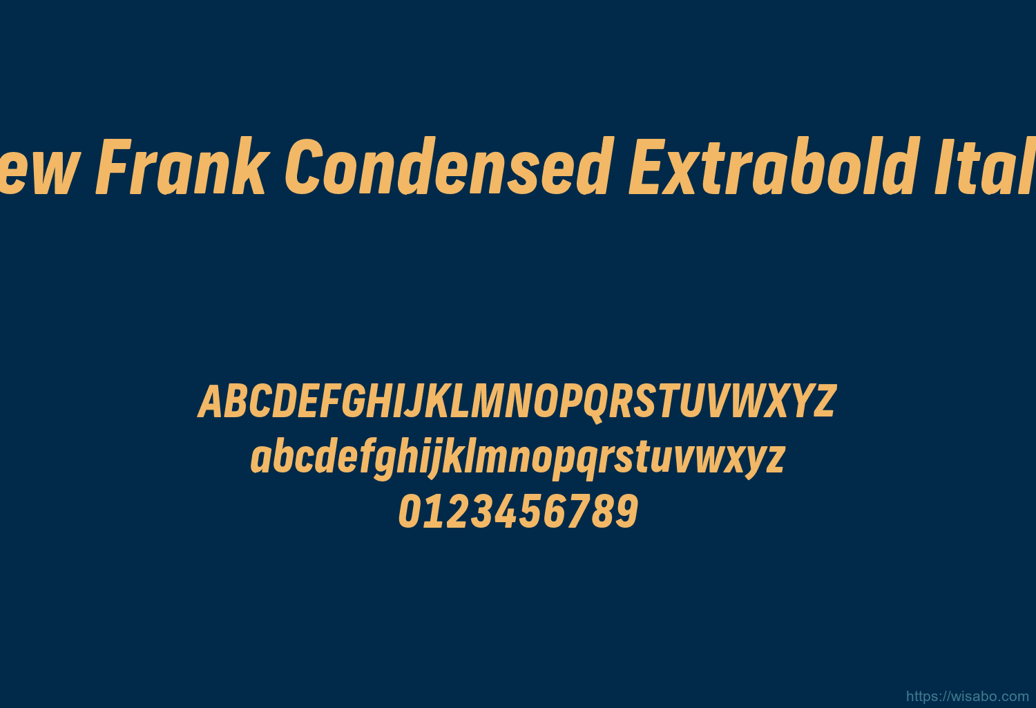 New Frank Condensed Extrabold Italic