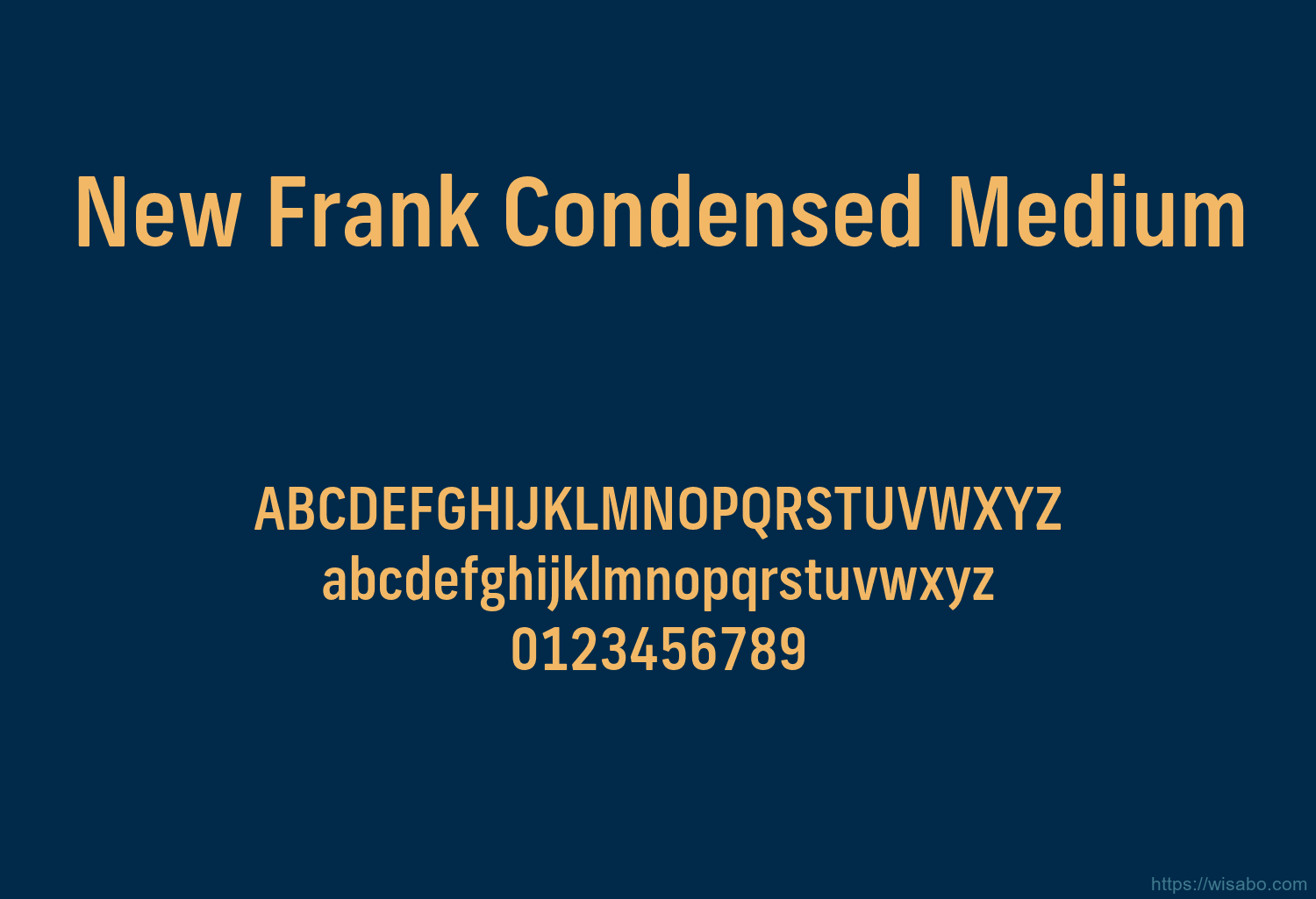 New Frank Condensed Medium