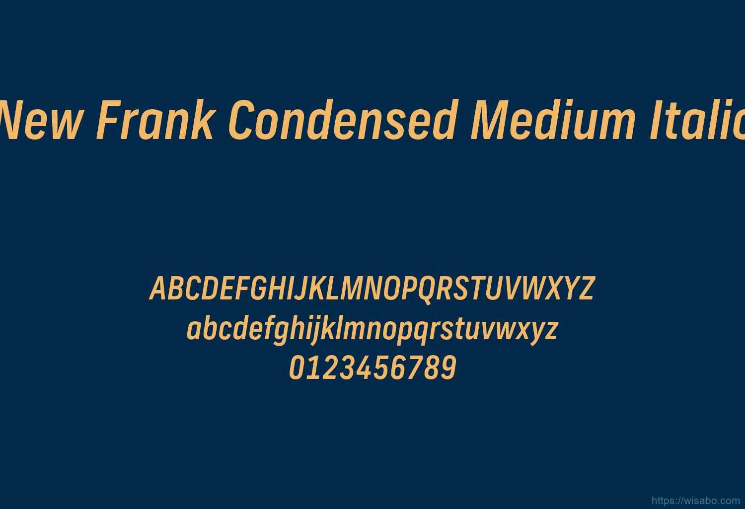 New Frank Condensed Medium Italic