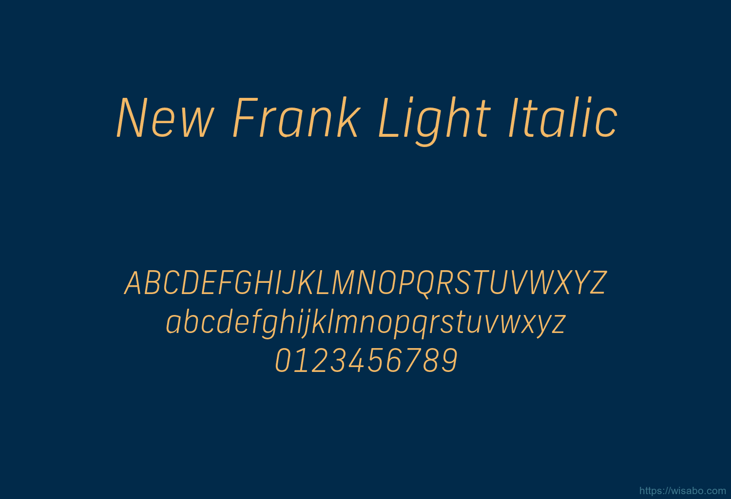 New Frank Light Italic