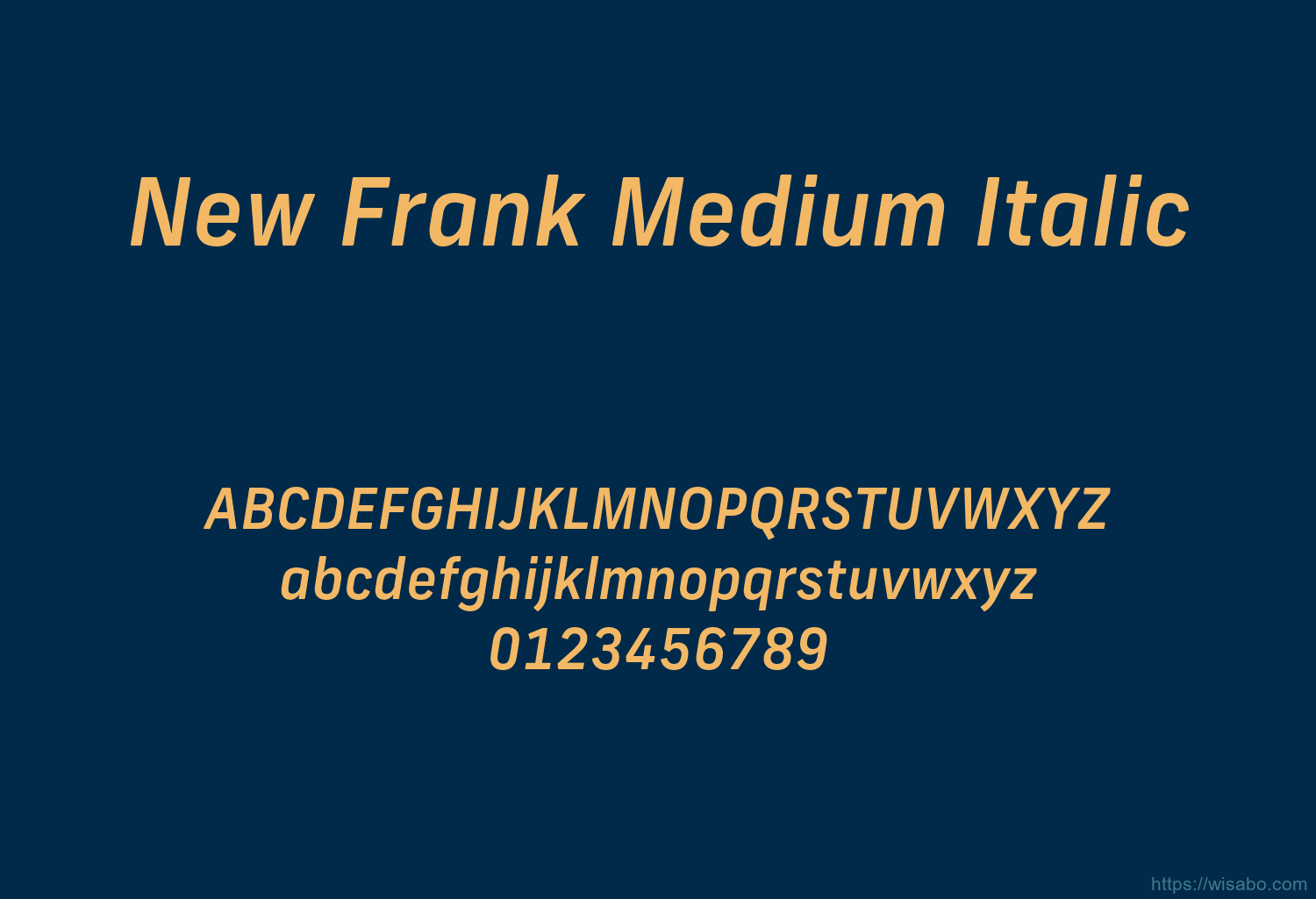 New Frank Medium Italic