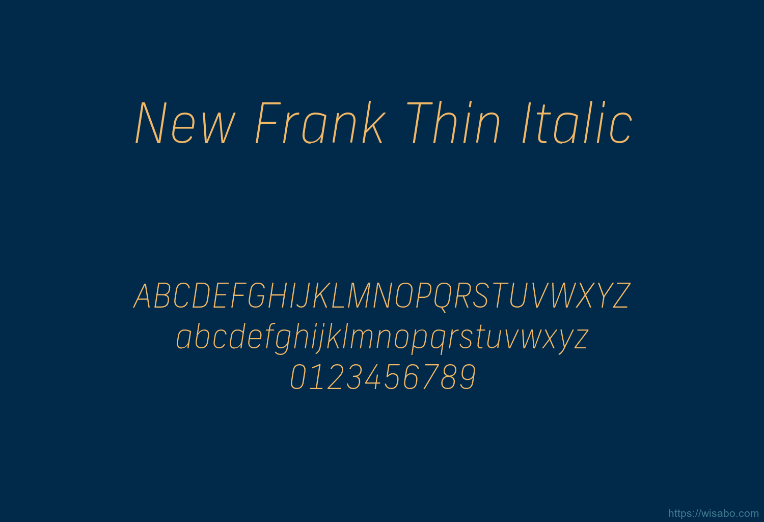 New Frank Thin Italic
