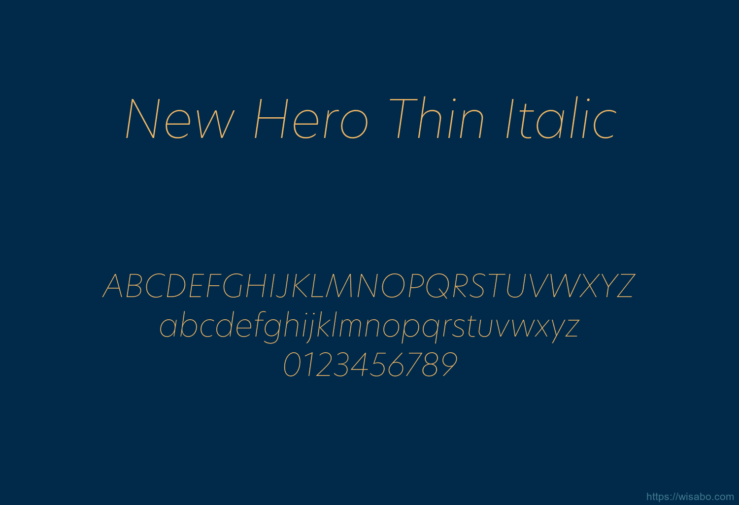 New Hero Thin Italic