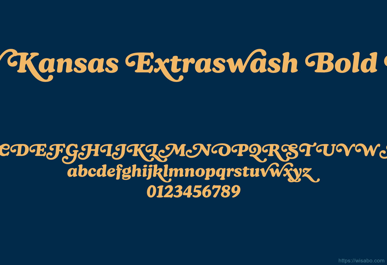 New Kansas Extraswash Bold Italic