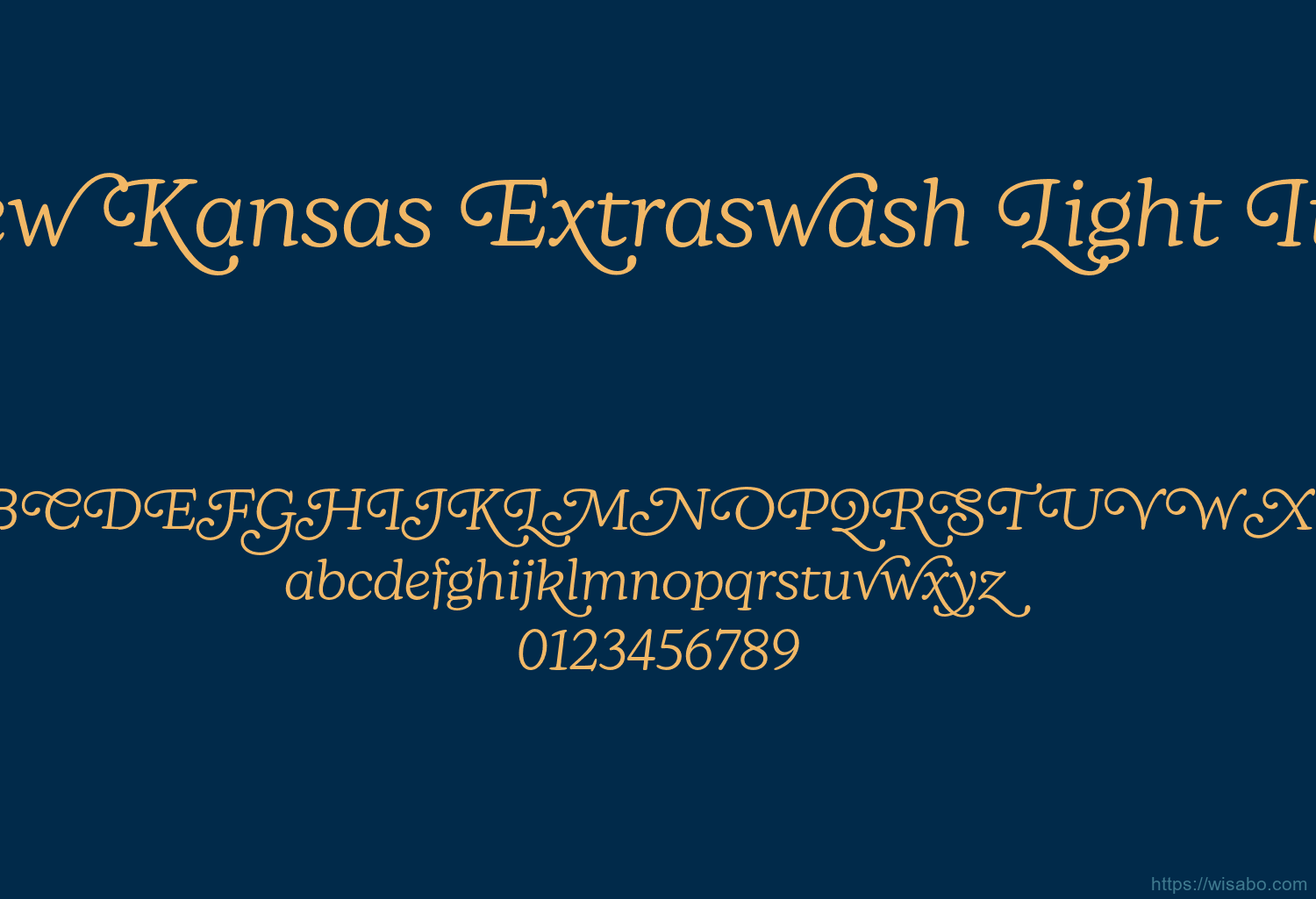 New Kansas Extraswash Light Italic