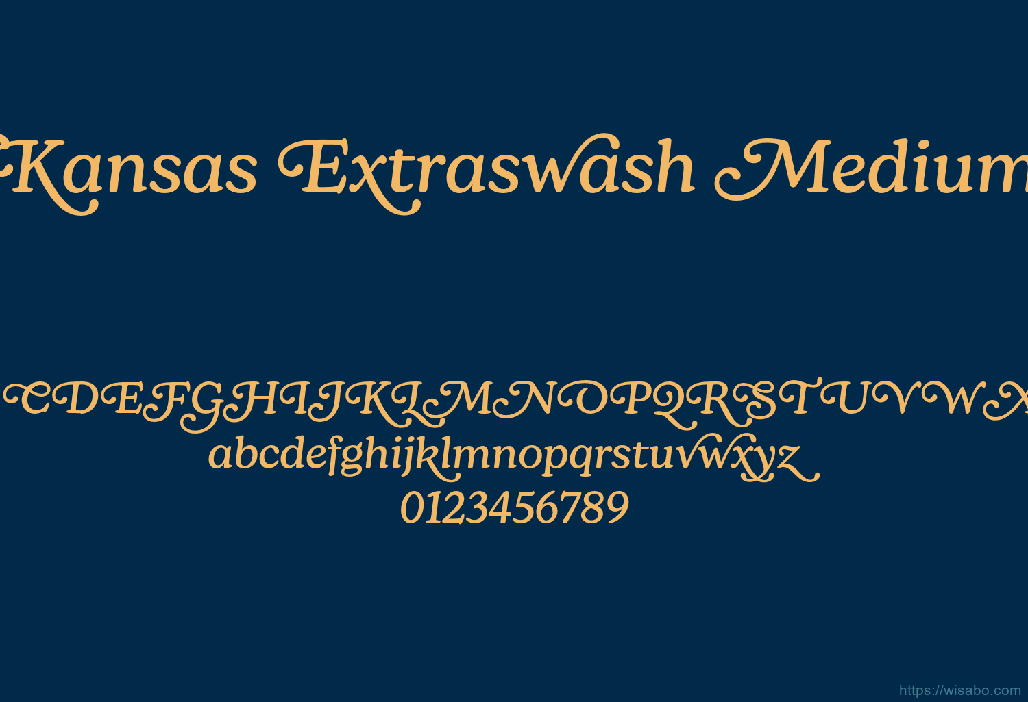 New Kansas Extraswash Medium Italic