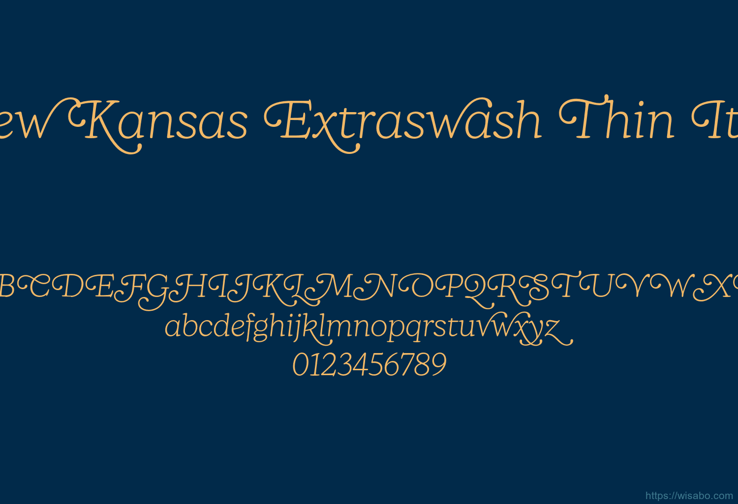 New Kansas Extraswash Thin Italic
