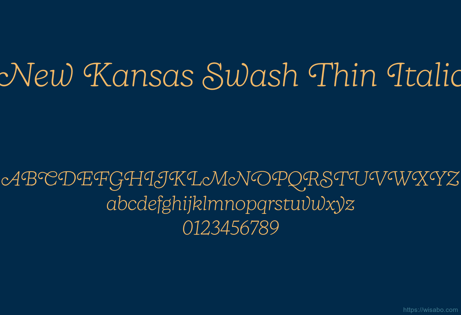 New Kansas Swash Thin Italic