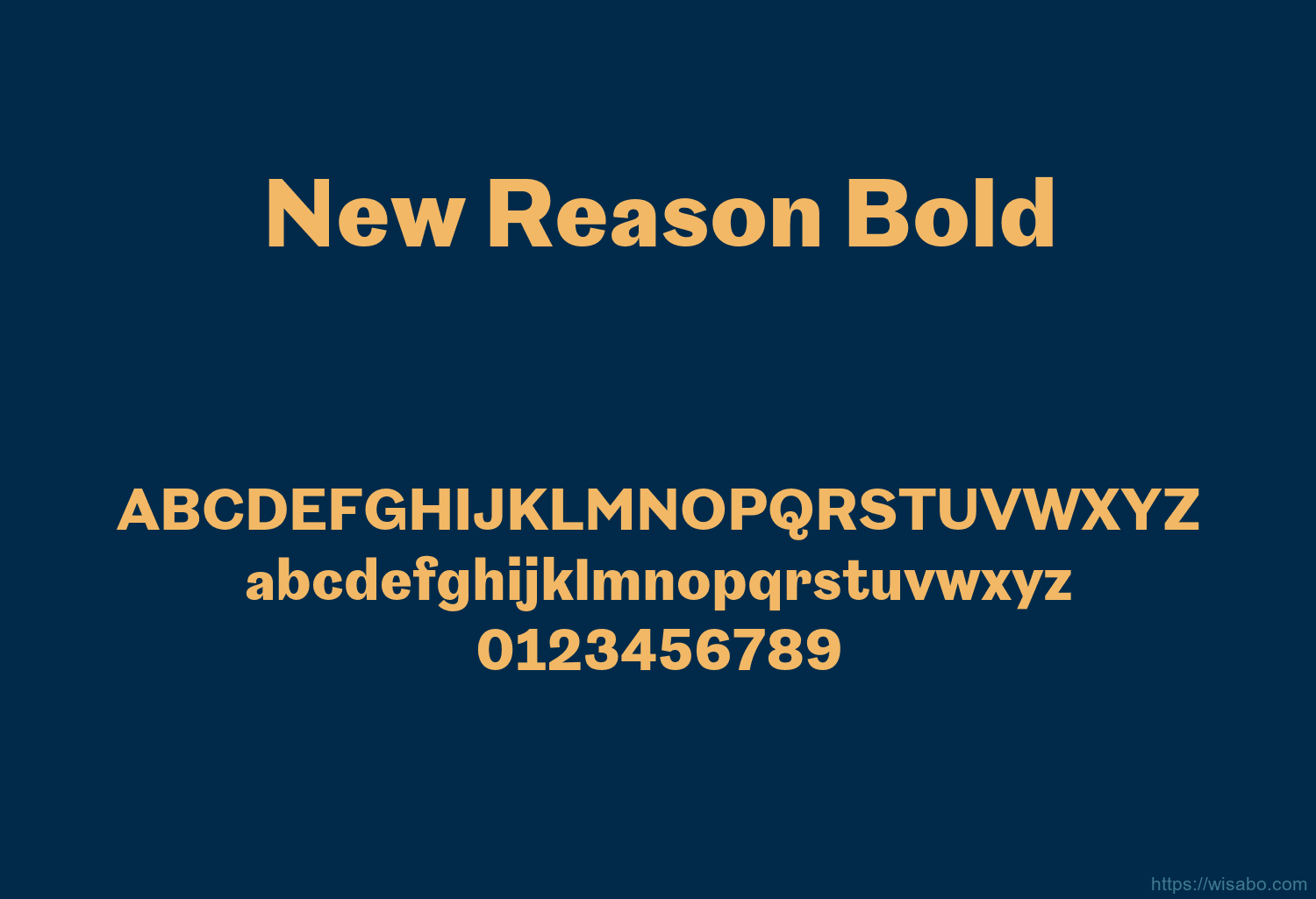 New Reason Bold