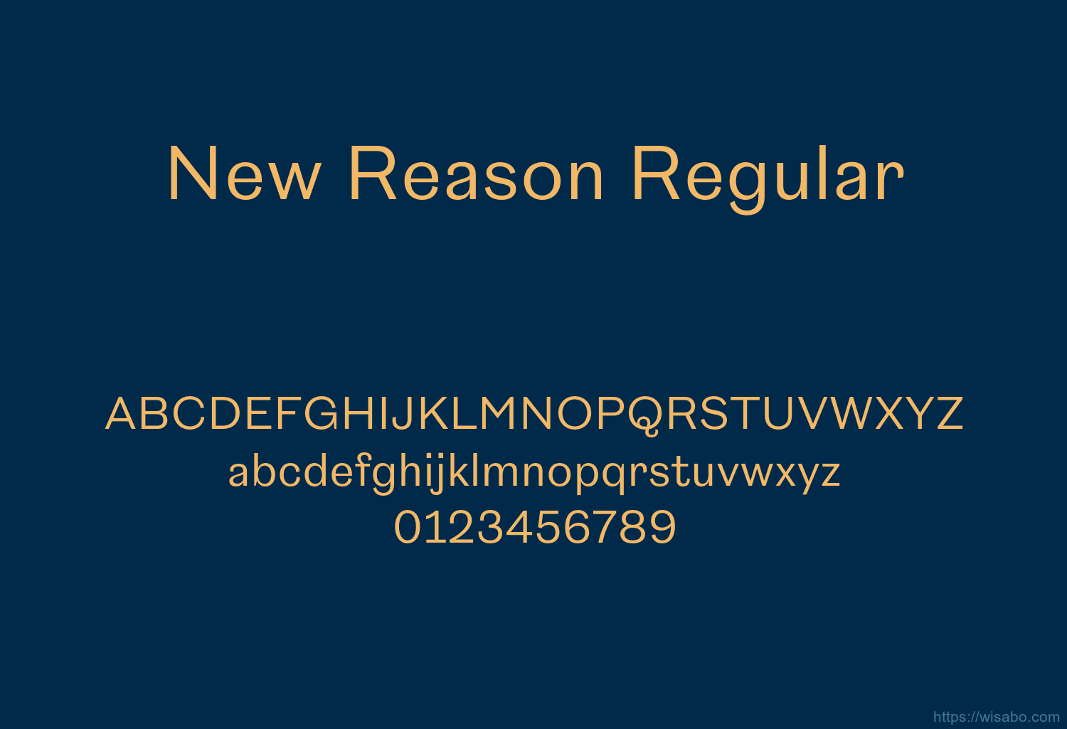 New Reason Regular