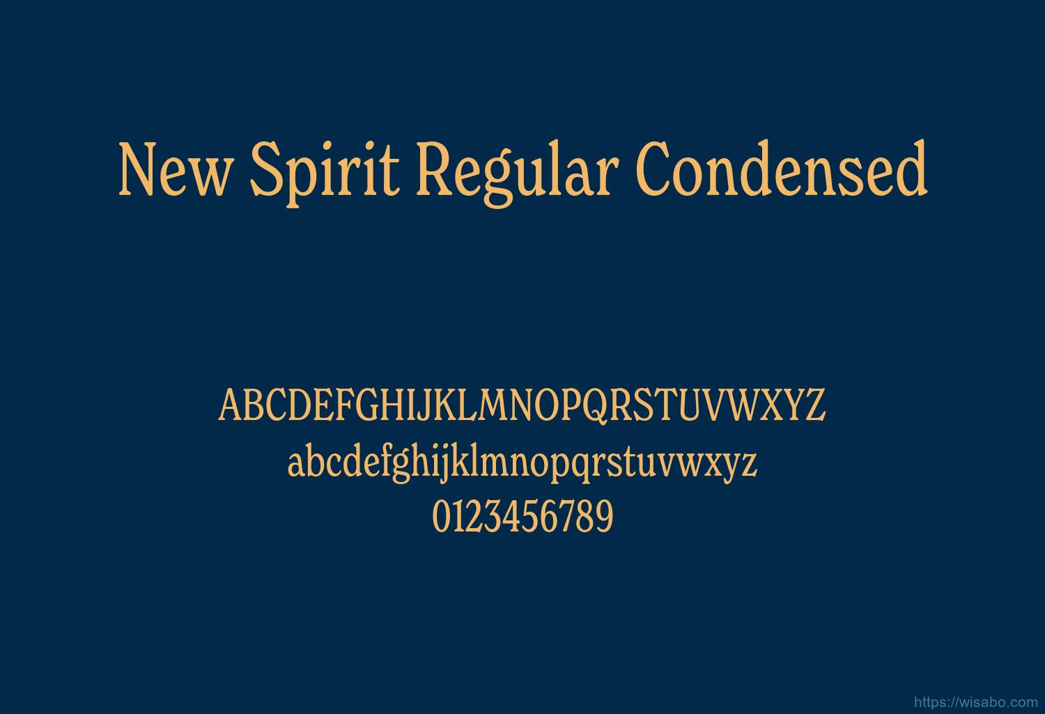 New Spirit Regular Condensed