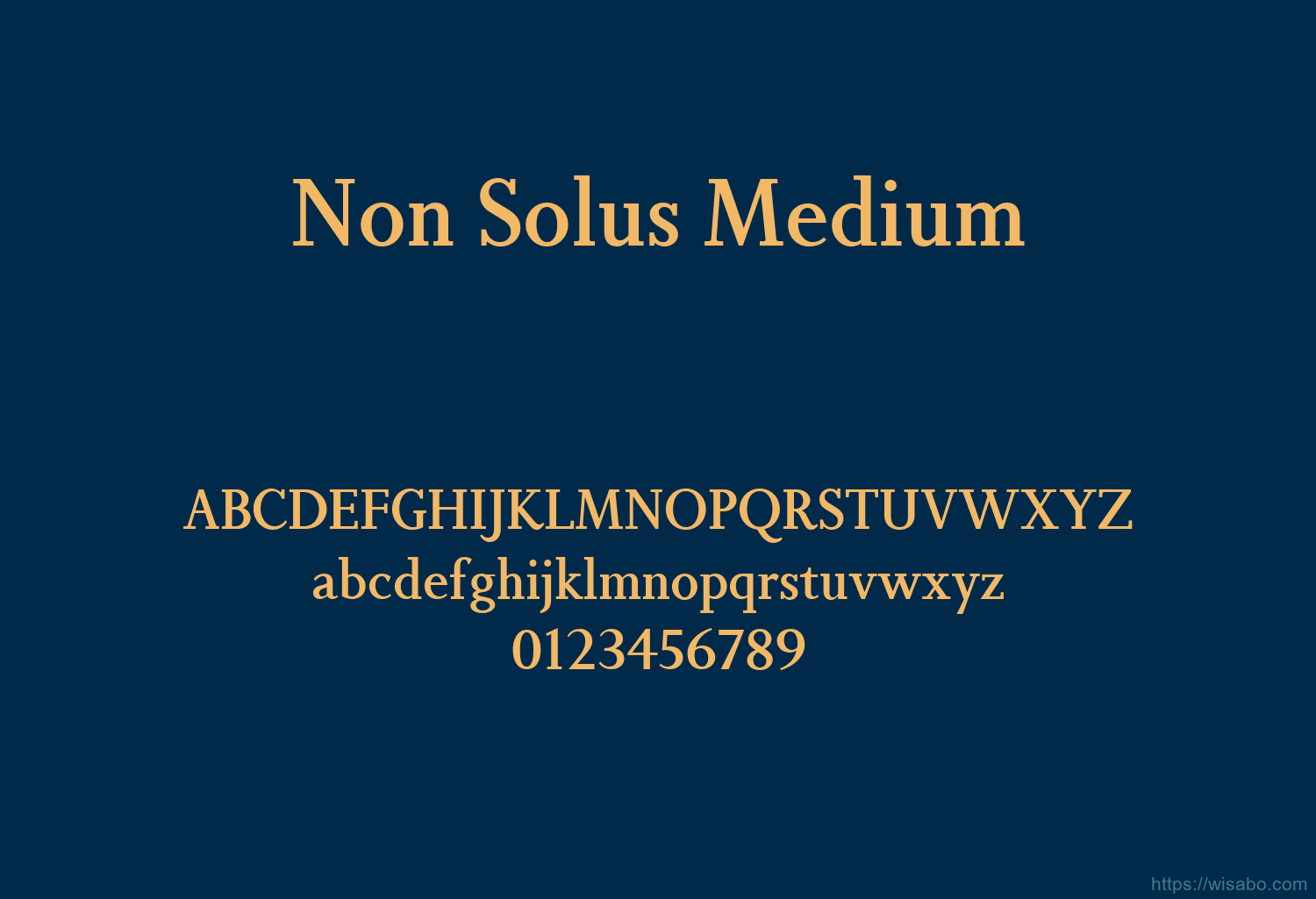 Non Solus Medium