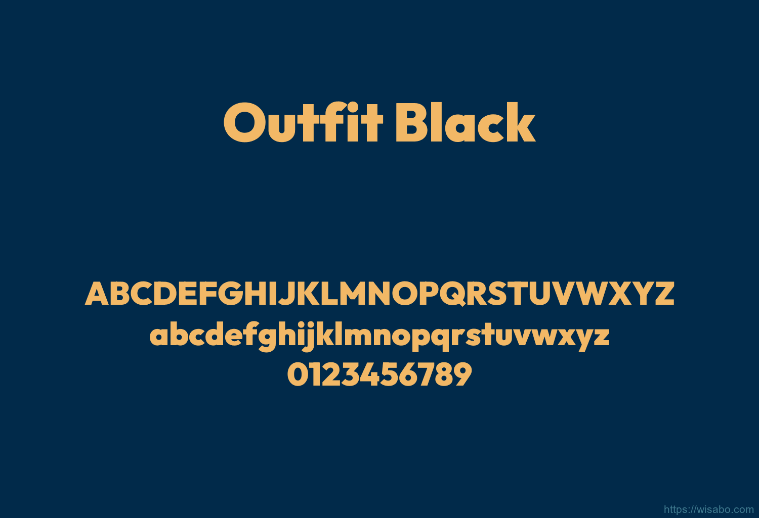Outfit Black