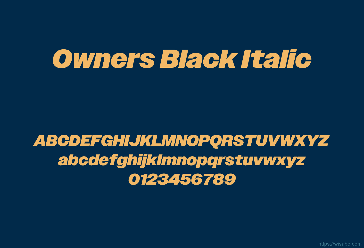 Owners Black Italic