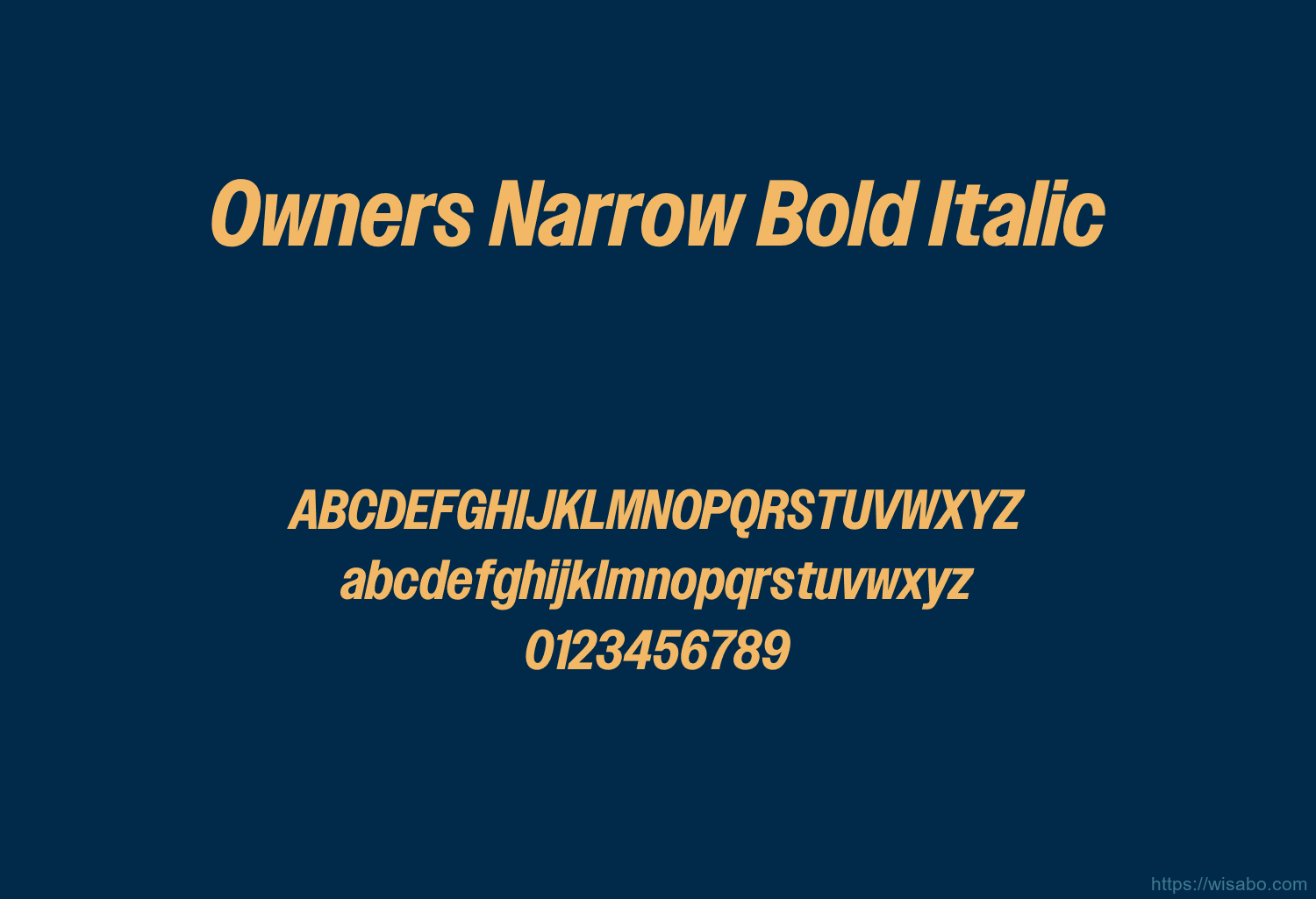 Owners Narrow Bold Italic