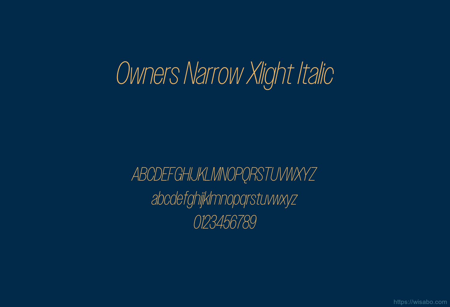 Owners Narrow Xlight Italic