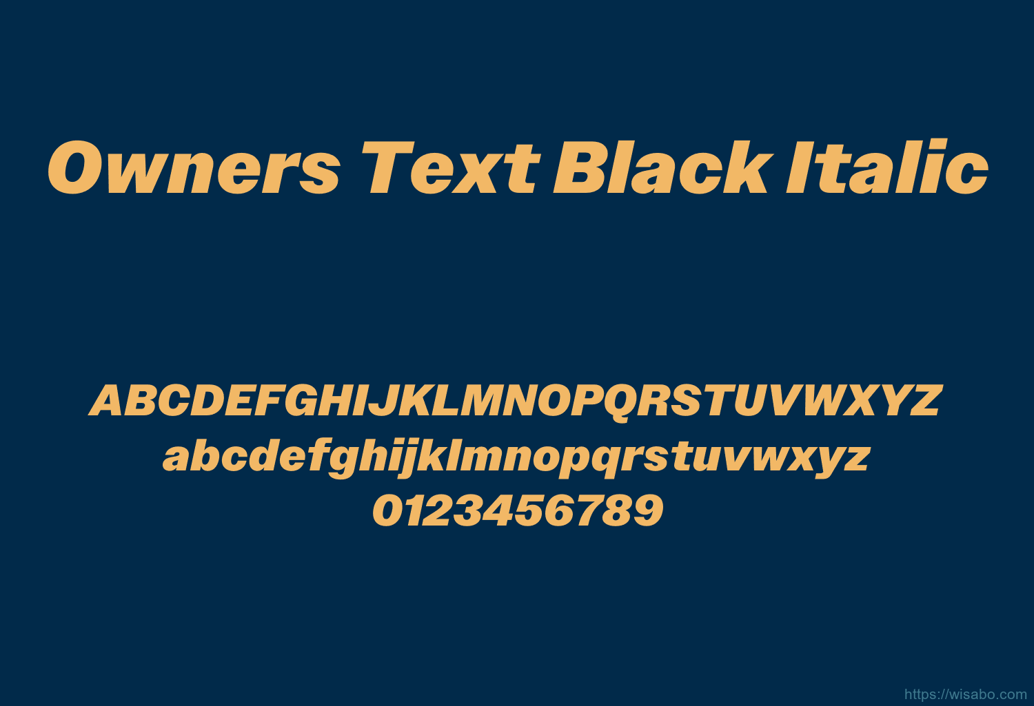 Owners Text Black Italic