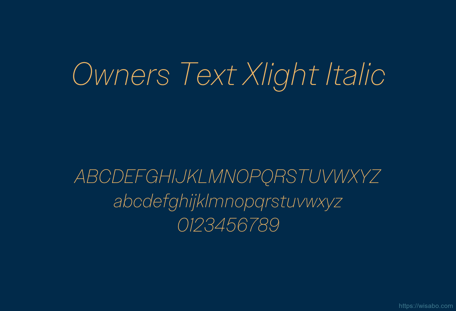 Owners Text Xlight Italic