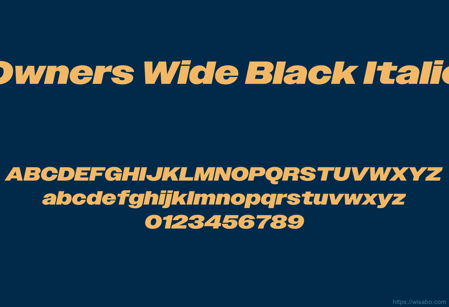 Owners Wide Black Italic
