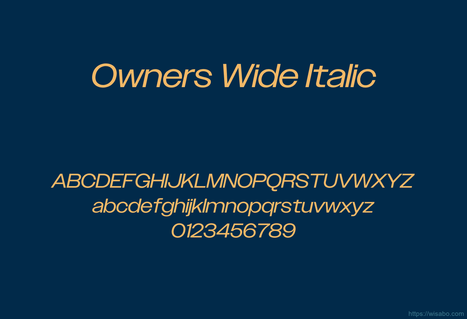 Owners Wide Italic
