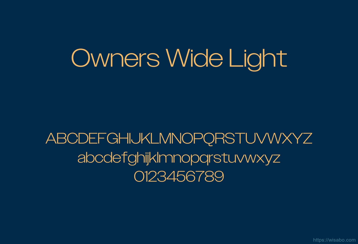 Owners Wide Light