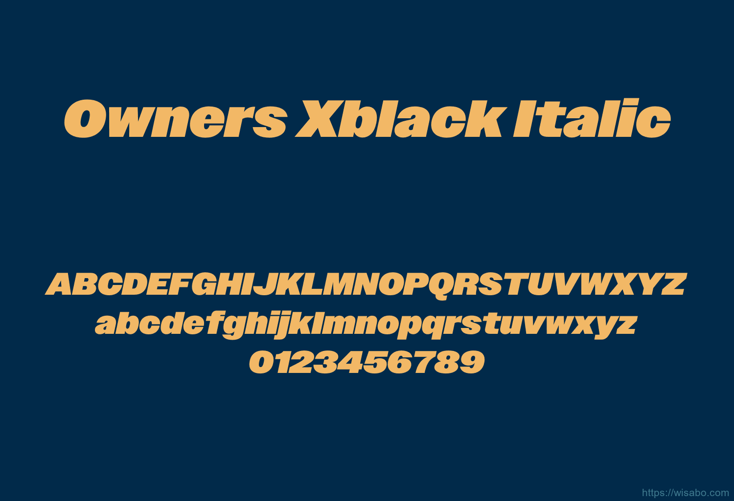 Owners Xblack Italic