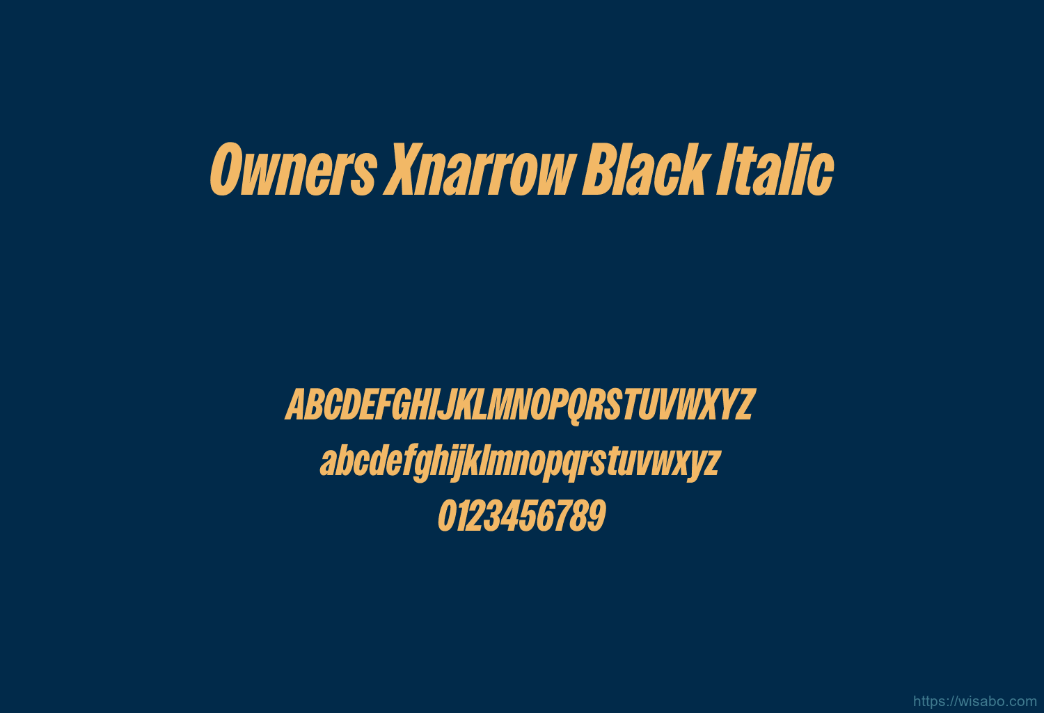 Owners Xnarrow Black Italic