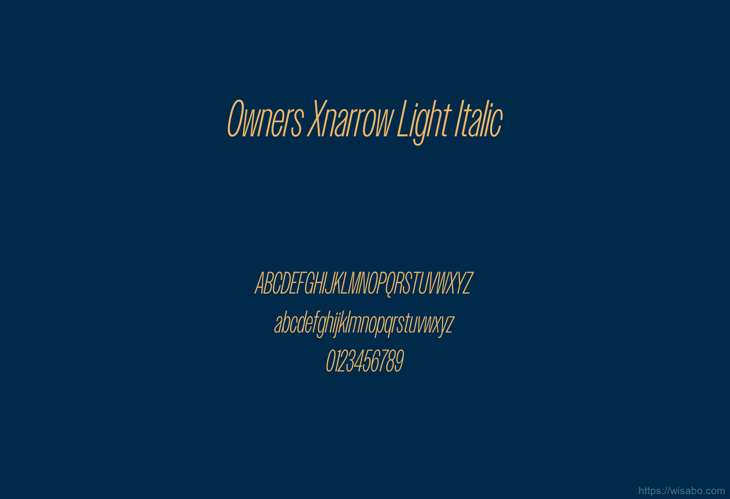 Owners Xnarrow Light Italic