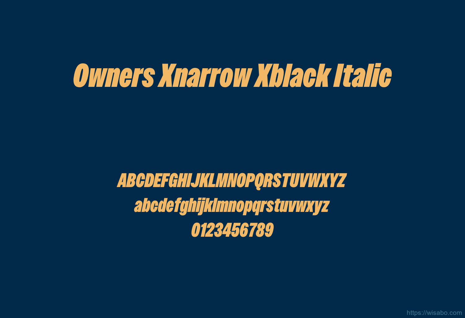 Owners Xnarrow Xblack Italic