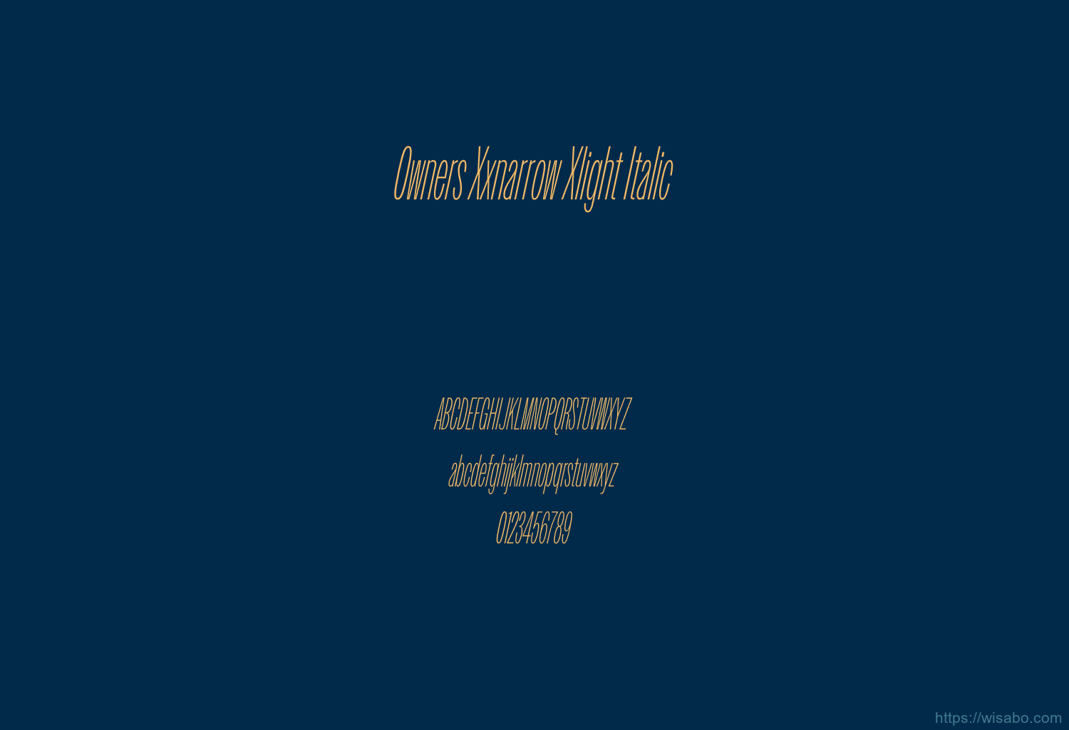 Owners Xxnarrow Xlight Italic