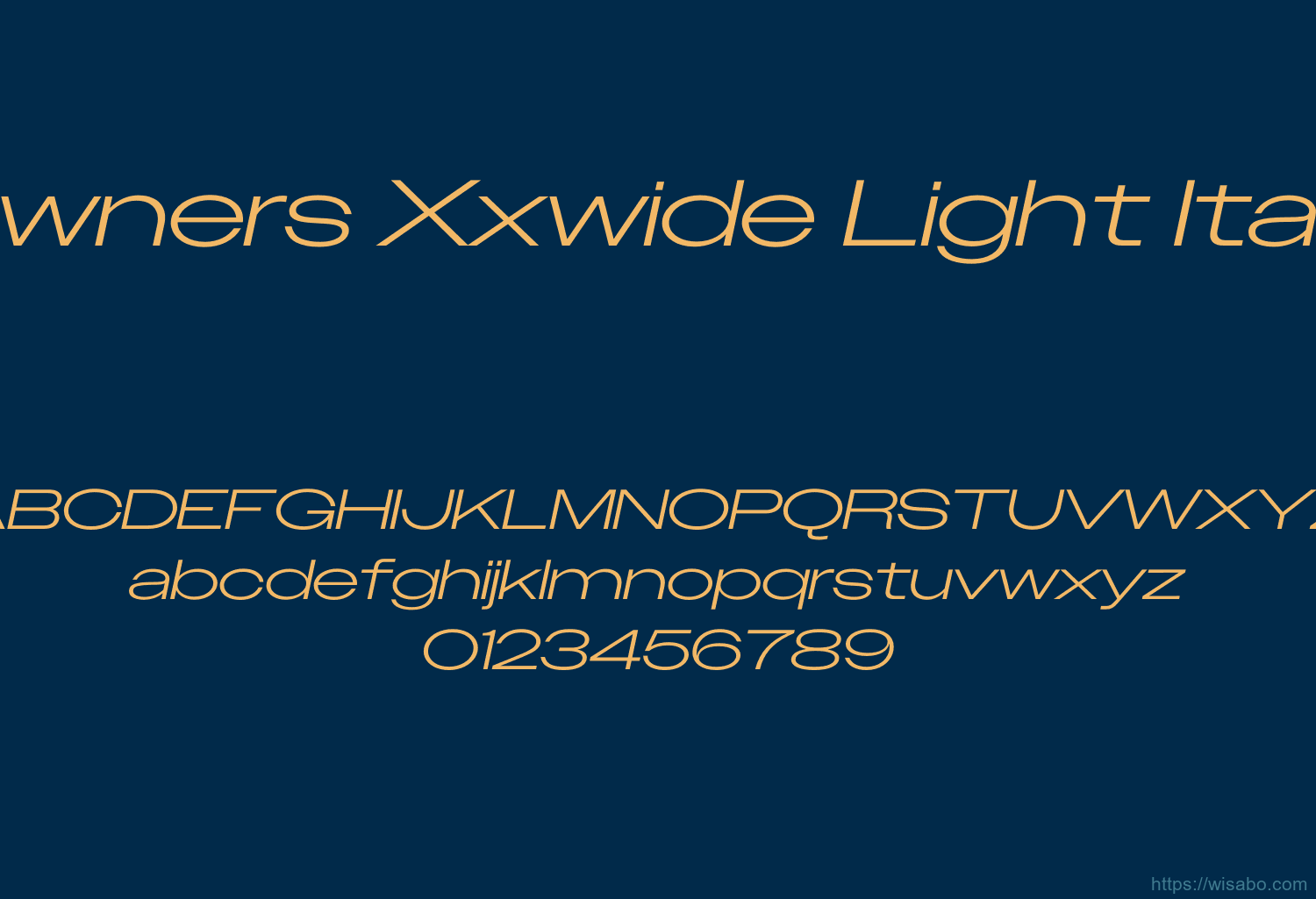 Owners Xxwide Light Italic