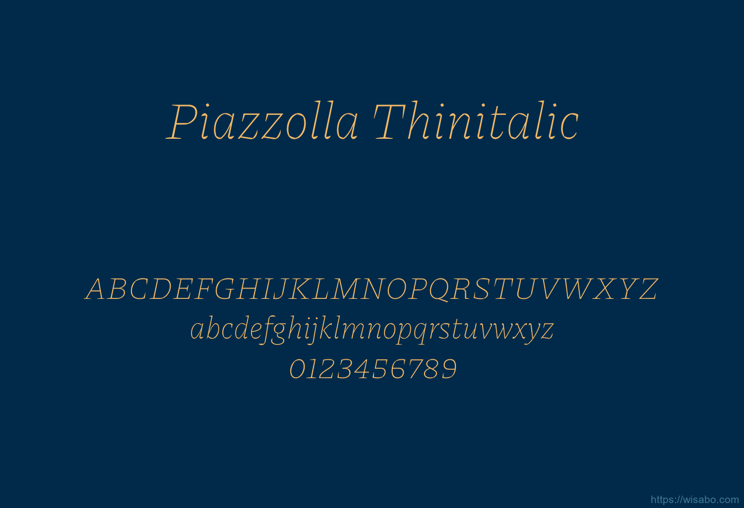 Piazzolla Thinitalic