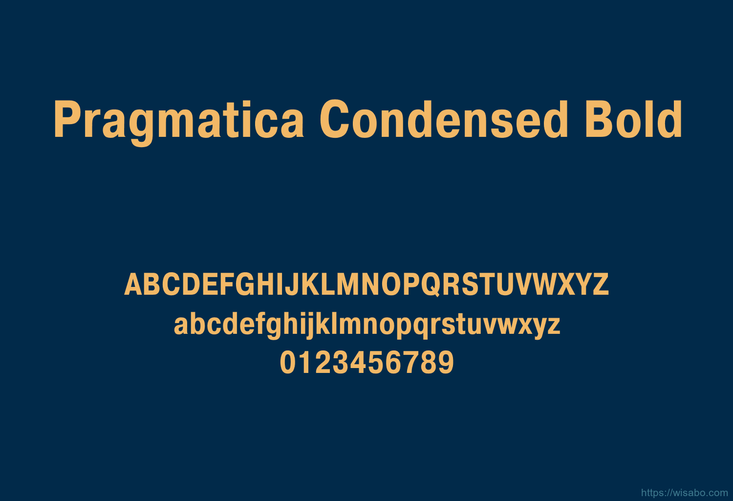 Pragmatica Condensed Bold