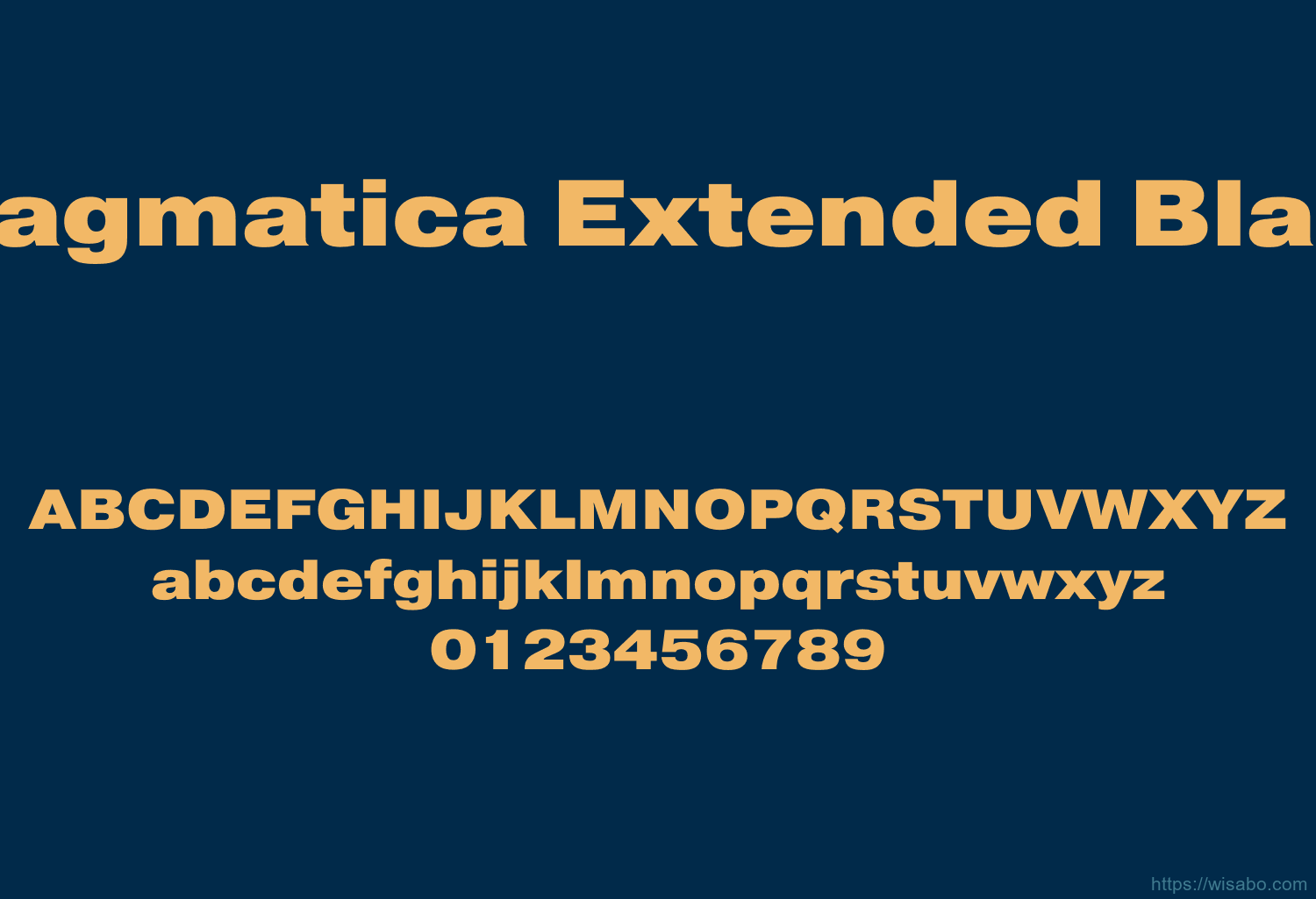 Pragmatica Extended Black